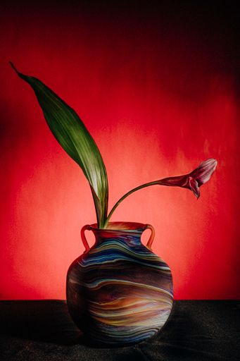 A vertical shot of a purple Calla lily flower with a fresh green leaf in a colorful vase