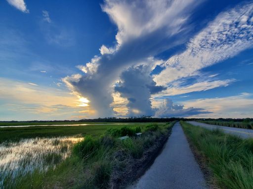 A beautiful landscape of a road through green fields on Kiawah Island, South Carolina on a cloudy day