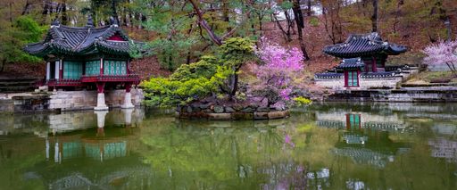 A panoramic shot of early spring at Buyongji Pond - part of the palace gardens for Changdeokgung Palace, Seoul, South Korea