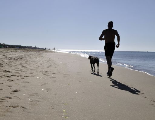 A silhouette shot of an athletic male jogging on the sandy beach with his dog in summer