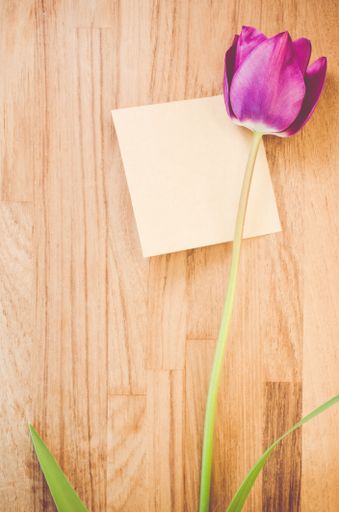 A vertical shot of a purple tulip and a piece of paper on a wooden surface