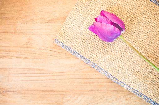A high angle shot of a purple tulip on a piece of cloth on a wooden surface