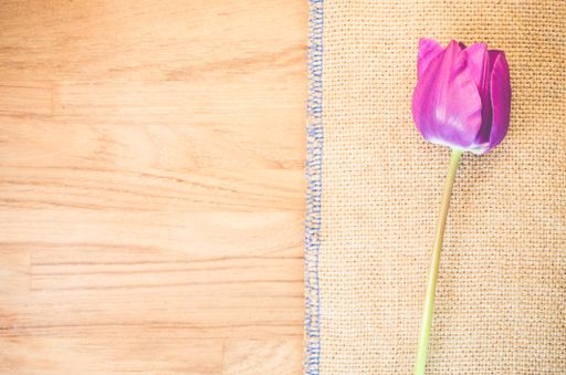 A high angle shot of a purple tulip on a piece of cloth on a wooden surface