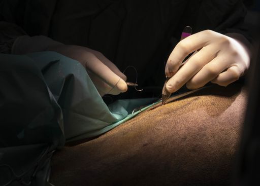 A closeup shot of doctors working on surgery in the darkroom