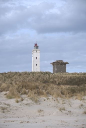 A vertical shot of the lighthouse on a sandy beach on a background of a blue sky