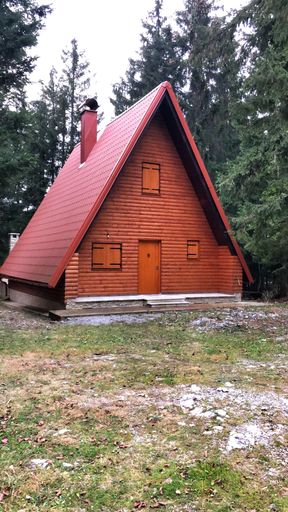 A beautiful small A-Frame wood cabin ina forest