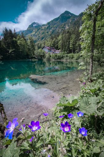 A vertical shot of a crystal clear lake surrounded by mountains covered in greenery under the sunlight