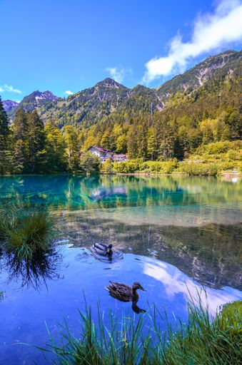 A vertical shot of ducks on a crystal clear lake surrounded by mountains covered in greenery