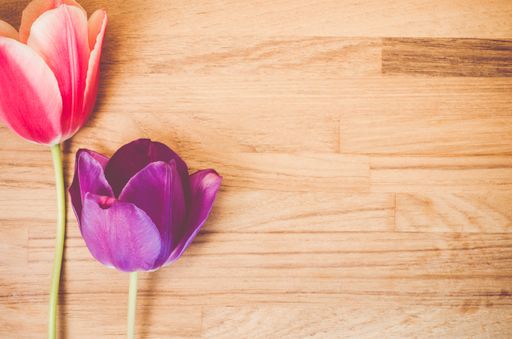 An overhead shot of a colorful tulip flowers on a wooden table with space for your text
