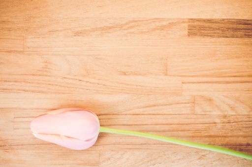 An overhead shot of a red tulip flower on a wooden table with space for your text