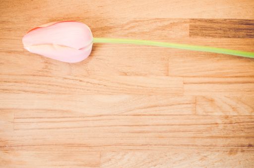 An overhead shot of a pink tulip flower on a wooden table with space for your text