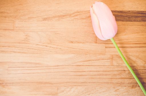 An overhead shot of a pink tulip flower on a wooden table with space for your text