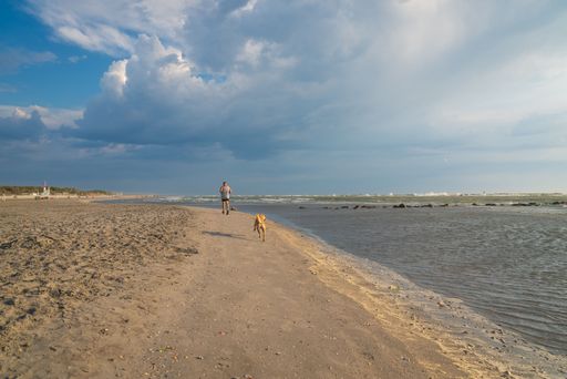 Man running with dog at sandy beach at morning, background overcast sky, Italy