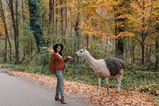 A happy female wearing a brown jacket and a fedora hat and standing with a llama in a forest in autumn