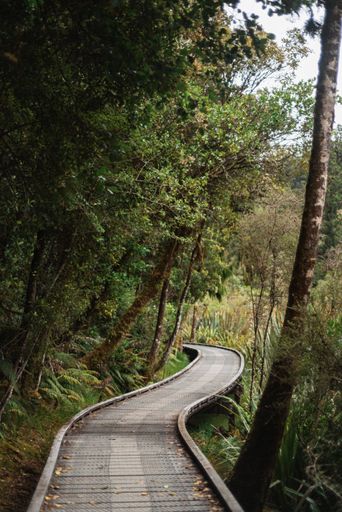 A vertical shot of a path in a park