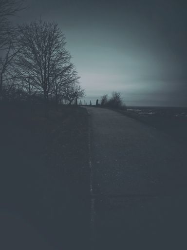 A vertical shot of a road through the field on a gloomy day