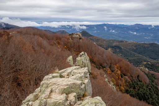 Autumn picture from Spanish mountain Montseny, near Santa fe del Montseny, Catalonia
