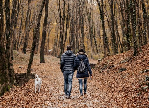 A closeup shot of a couple and a dog walking in an autumn park