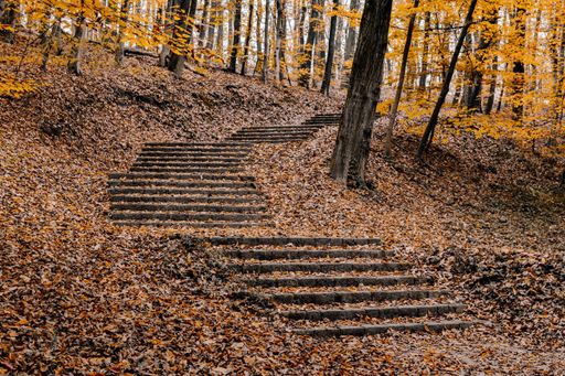 A closeup shot of colorful autumn trees and leaves on stairs in a park
