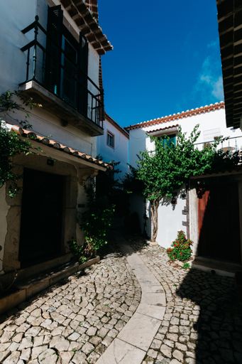 A vertical shot of an alley of old houses decorated with plants under the sunlight in Cascais, Portugal