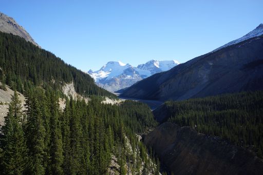 An aerial shot of big mountains covered in forest with snowy mountain peaks in the background