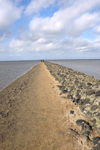 A vertical shot of a rocky pathway at the beach on a sunny day