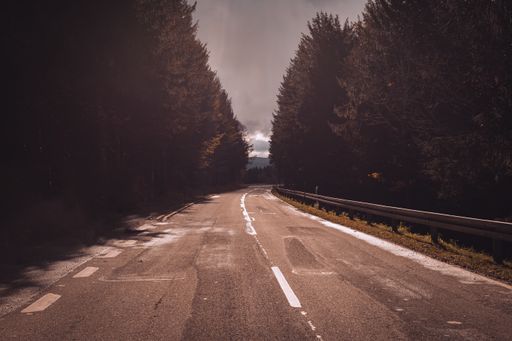 A paved empty road going through a densely forested area on a rainy day