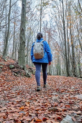 A back view of a tourist woman walking on the Spanish Pyrenees in autumn time in a cloudy day