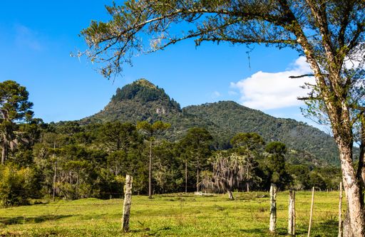 A beautiful view of a green grassy field under a cloudy sky in Santa Catarina, Brazil