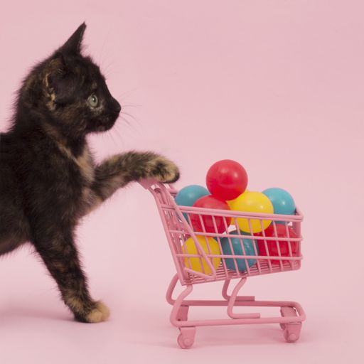 A closeup shot of a cute cat pushing a pink cart full of colorful balls