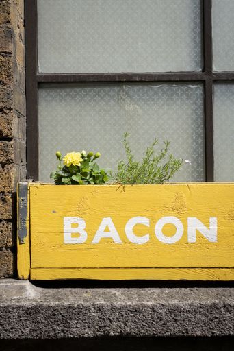 A vertical shot of a yellow wooden flower pot with a bacon print near the window