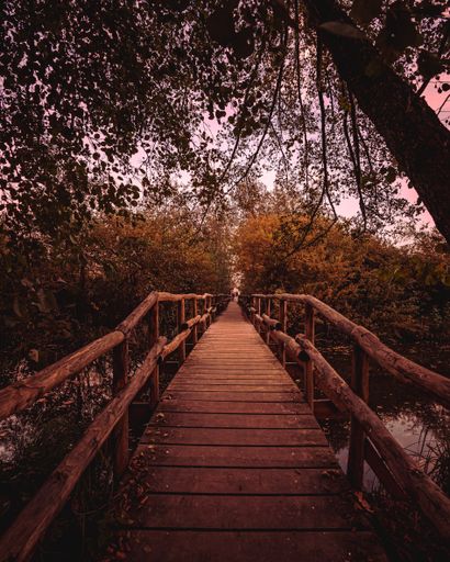 A vertical shot of an old bridge over the river in an autumn pa