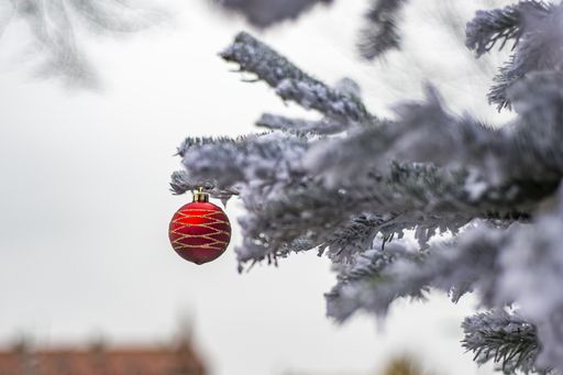 A selective focus of a red Christmas ornament hanging from a tree outdoors under a cloudy sky