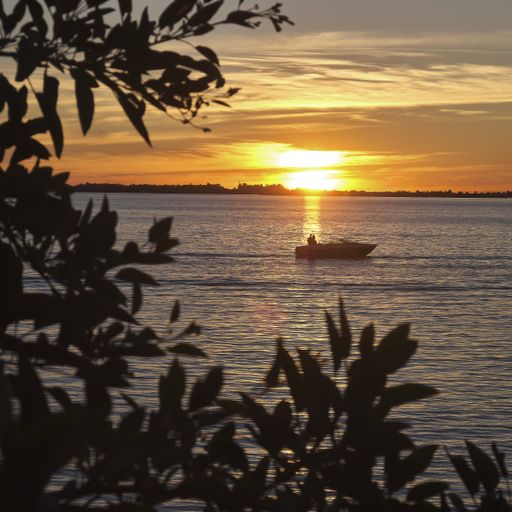 A sailing boat on the ocean under the beautiful sunset captured from behind the trees