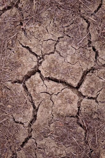 A closeup shot of dry desert soil