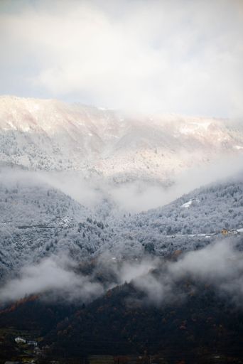 A vertical shot of mountains covered in forests on a cold foggy winter day