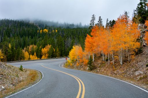A road leading to autumn forest and mountains covered with fog