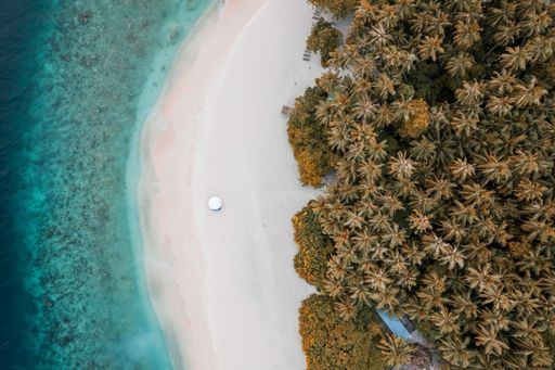 A tropical landscape with white sand with palm trees in the Maldivian island Kamadhoo