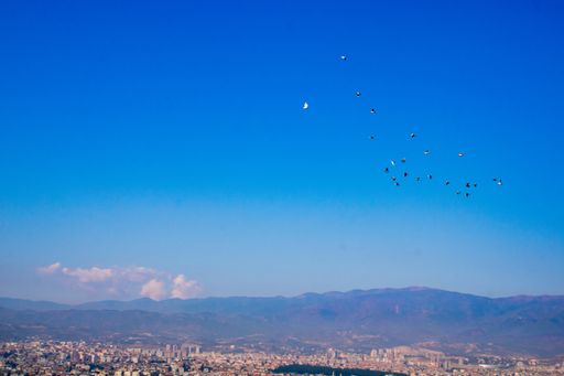 An aerial shot of a beautiful cityscape near mountains with a birds' flock in the sky