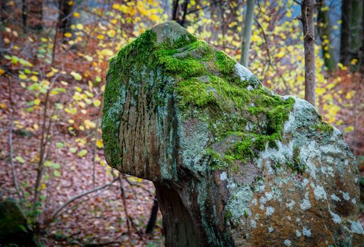 A mossy rock in autumn forest