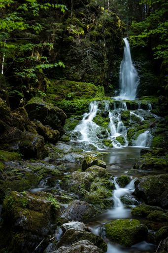 A vertical shot of Dickson falls in the lush forest, New Brunswick, Canada