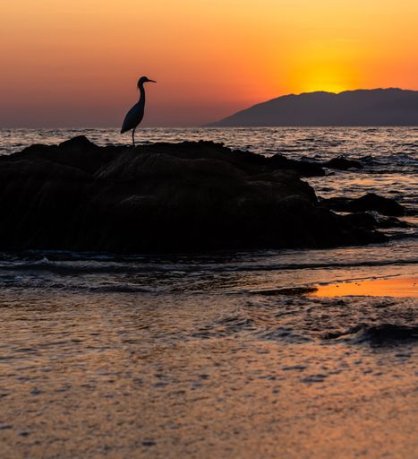 The silhouette of a heron standing atop rocks being washed over by the sea tide with the sun going behind hills in the background