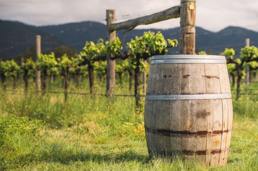 A wine barrel in the vineyard in Hunter Valley, NSW