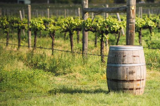 A wine barrel in the vineyard in Hunter Valley, NSW
