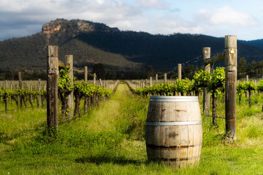 A wine barrel in the vineyard in Hunter Valley, NSW
