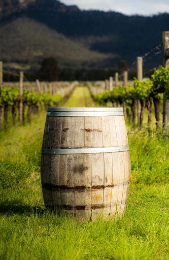 A wine barrel in the vineyard in Hunter Valley, NSW