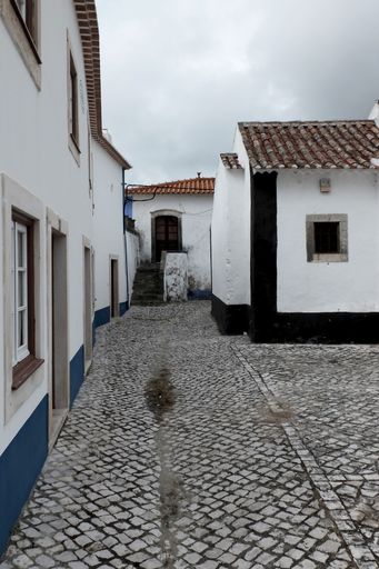 A vertical shot of beautiful white houses on a paved street under the cloudy sky
