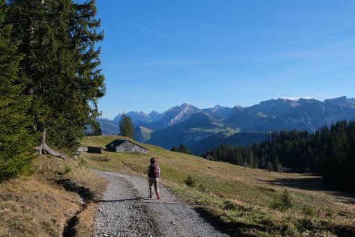 An adventurous female hiking down a hill under the blue sky in Central Switzerland