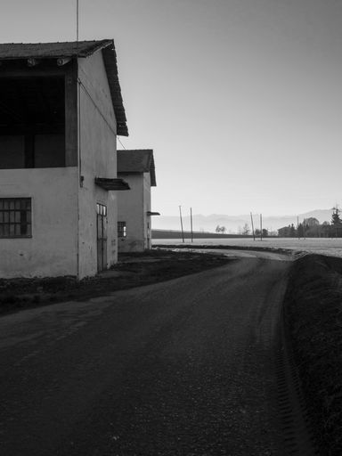 A vertical grey scale shot of old white buildings by an asphalt road