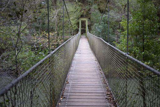 A Hanging bridge in Fragas do Eume Natural Park, Galicia, Spain
